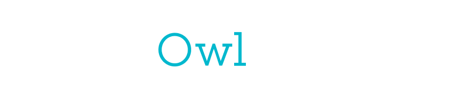 DigitalOwl